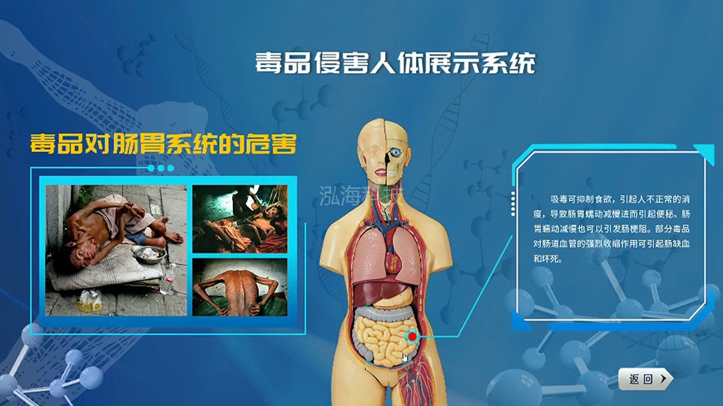 吸毒对人体器官危害体验系统毒品对肠胃的危害