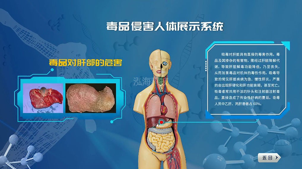 吸毒对人体器官危害体验系统毒品对肝部的危害