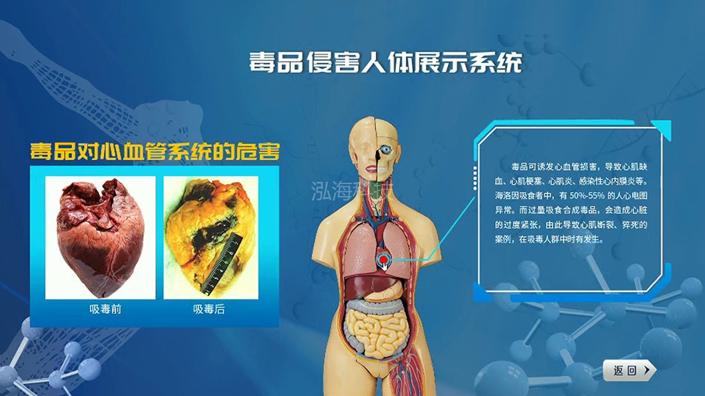 吸毒对人体器官危害体验系统毒品对心血管的危害